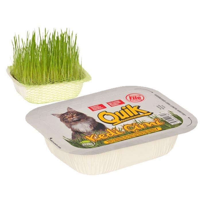 Quik Fileli Doğal Kedi Çimi | SRC: Barcode: 8680468047827